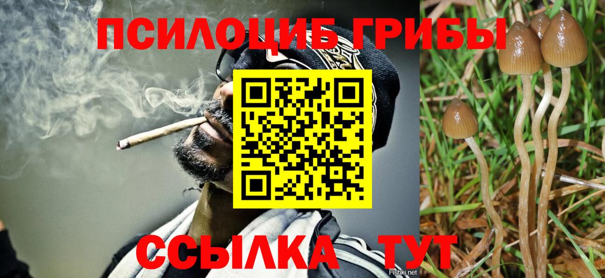 Галлюциногенные грибы Psilocybine cubensis Ивантеевка